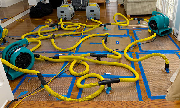 Professional Basement Flood Cleanup technician working in Orlinda, TN